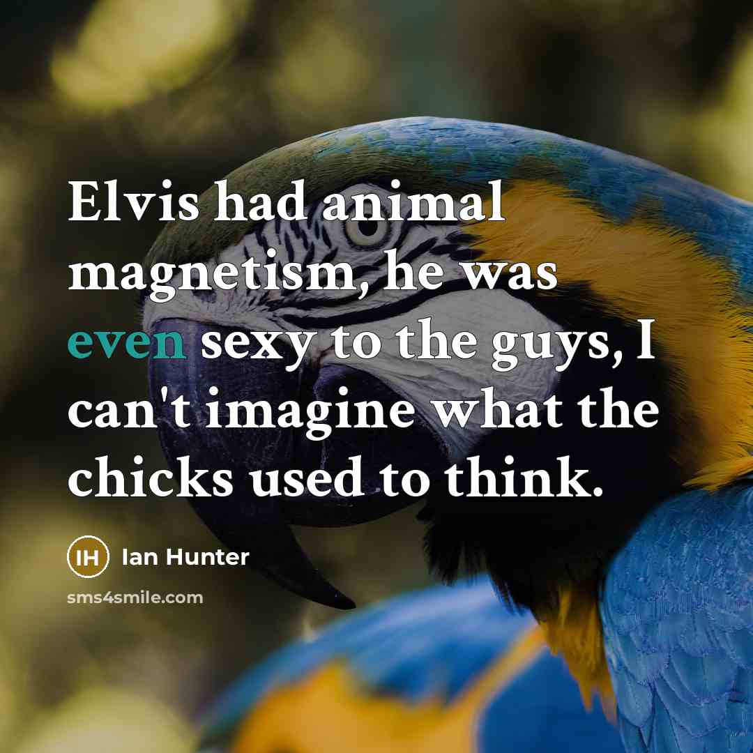 “Elvis had animal magnetism, he was even sexy to the…” quote by Ian Hunter