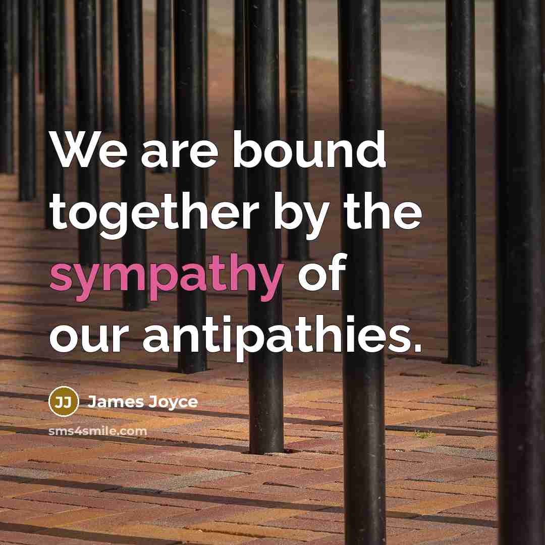 “We are bound together by the sympathy of our antipathies.…” quote by James Joyce