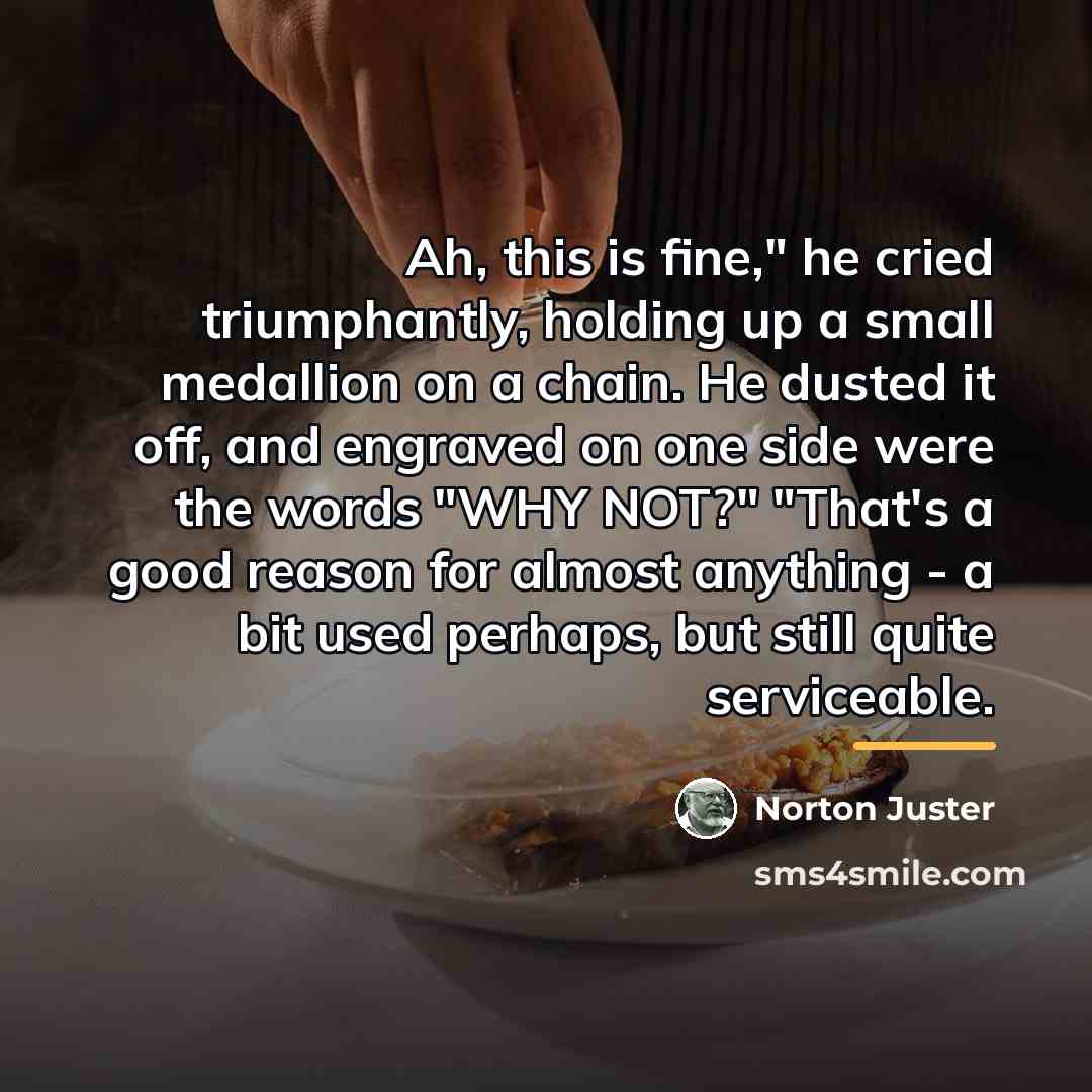 “Ah, this is fine," he cried triumphantly, holding up a…” quote by Norton Juster