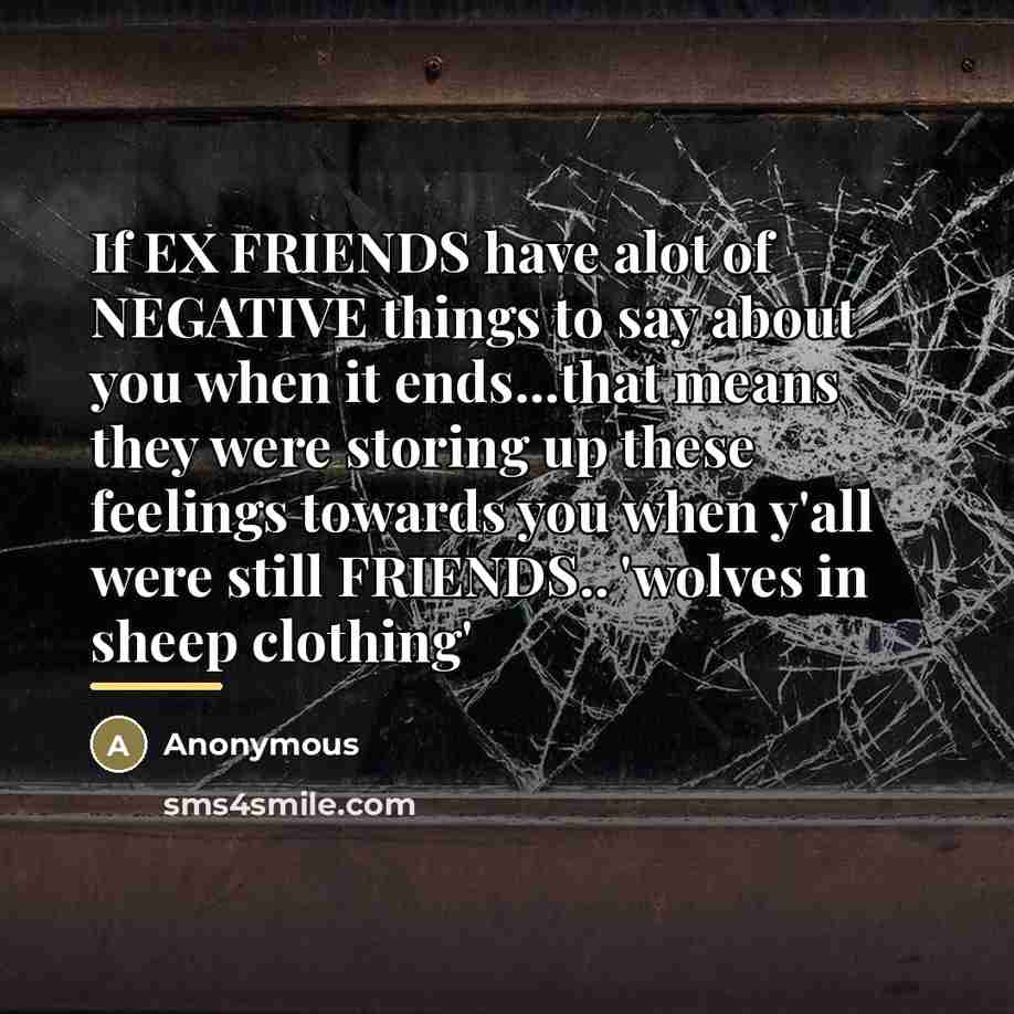 “If EX FRIENDS have alot of NEGATIVE things to say…” quote by Anonymous