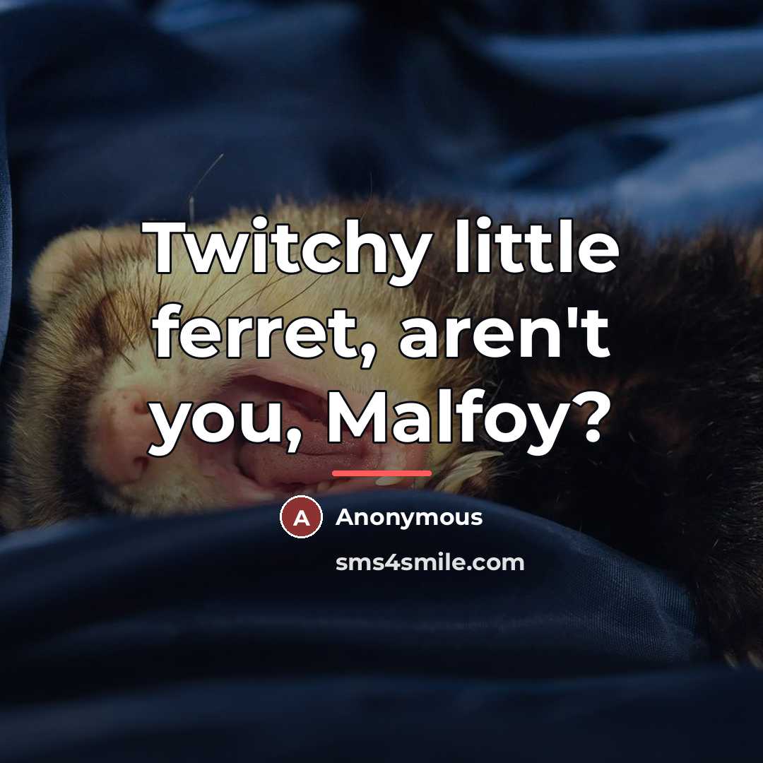 “Twitchy little ferret, aren't you, Malfoy?…” quote by Anonymous