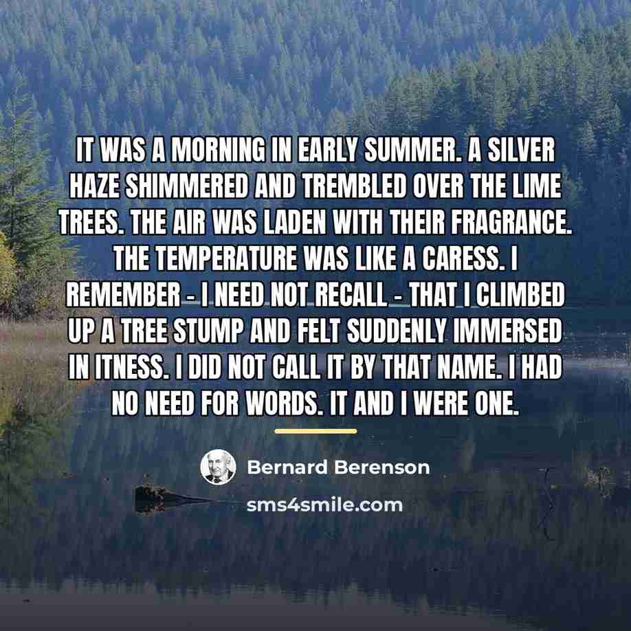 “It was a morning in early summer. A silver haze…” quote by Bernard Berenson