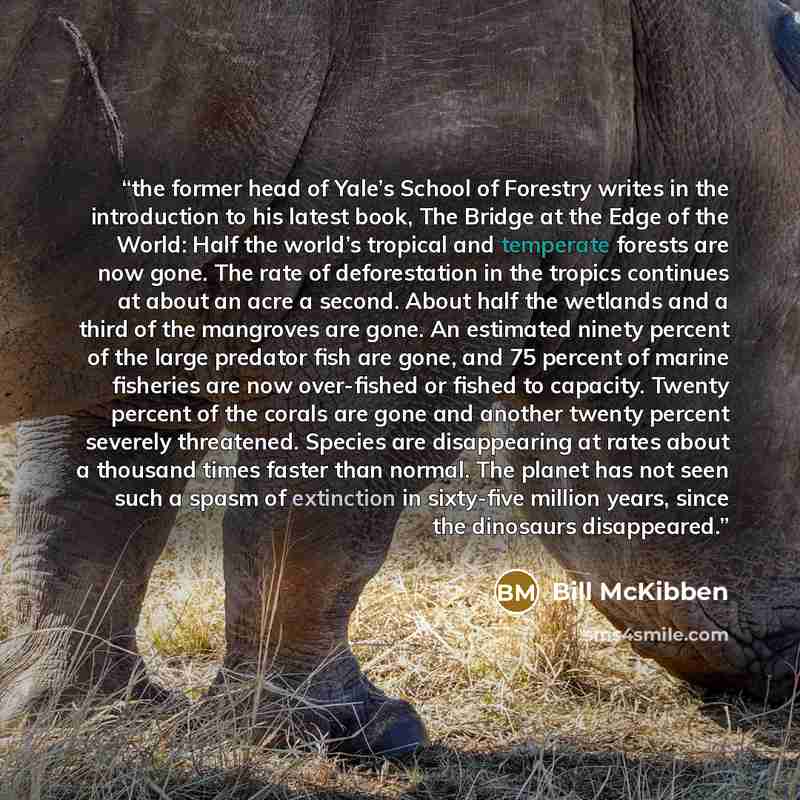 “the former head of Yale’s School of Forestry writes in the introduction to his latest book, The Bridge at the Edge of the World: Half the world’s tropical and temperate forests are now gone. The rate of deforestation in the tropics continues at about an acre a second. About half the wetlands and a…” quote by Bill McKibben