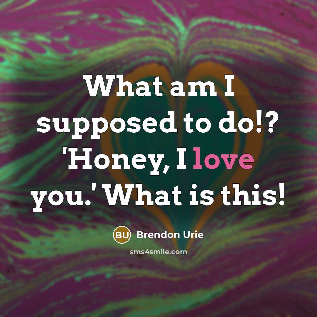 “What am I supposed to do!? 'Honey, I love you.'…” quote by Brendon Urie