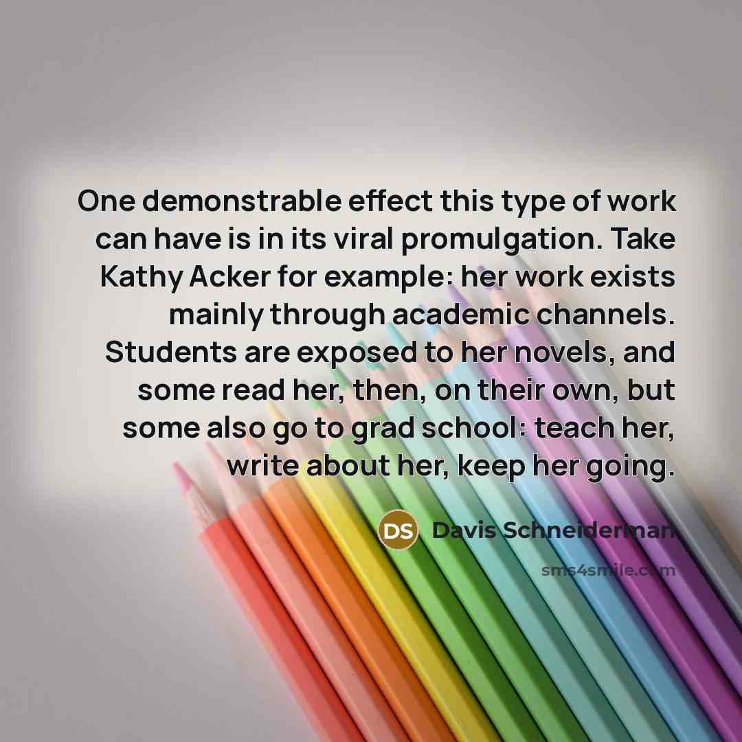 “One demonstrable effect this type of work can have is…” quote by Davis Schneiderman