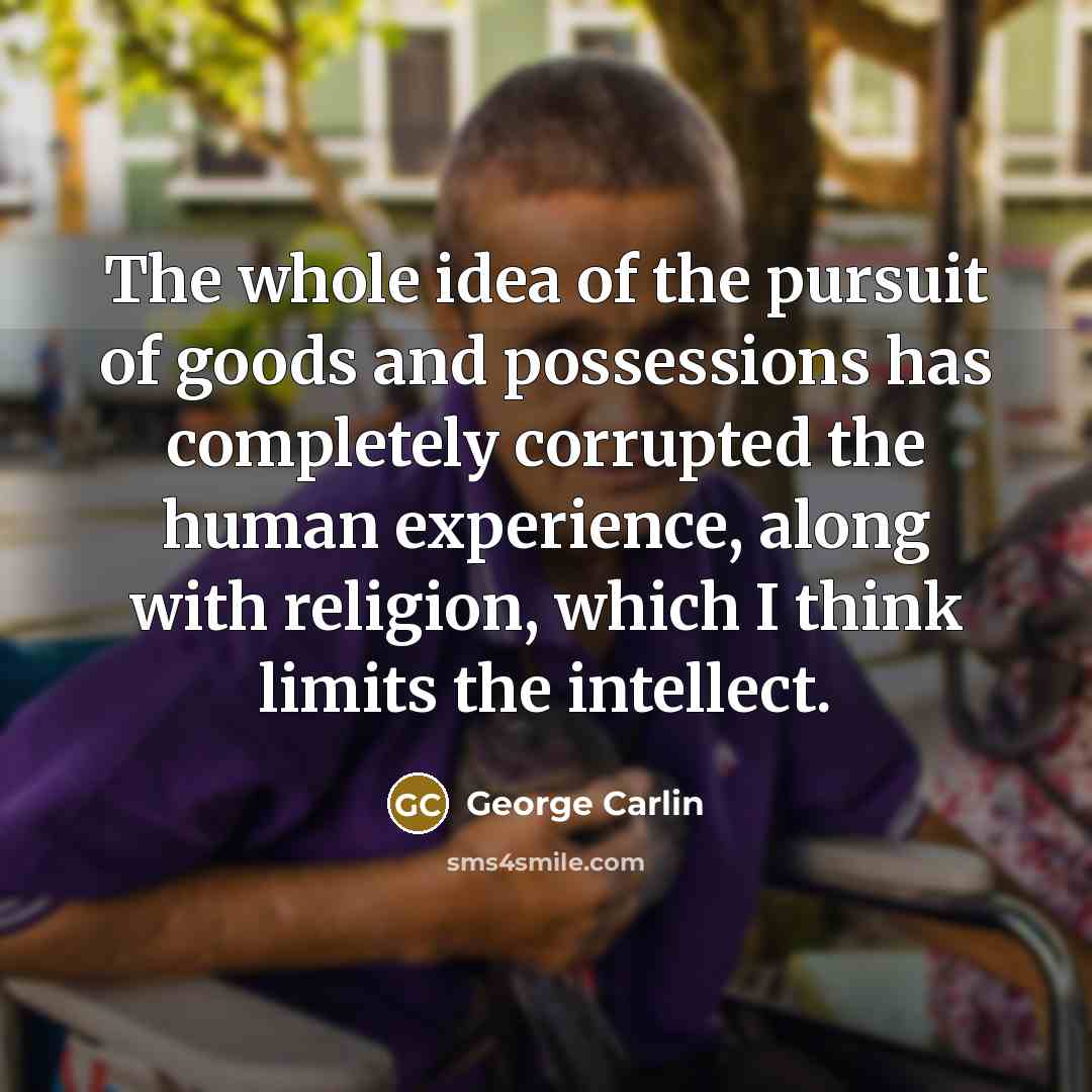 “The whole idea of the pursuit of goods and possessions…” quote by George Carlin