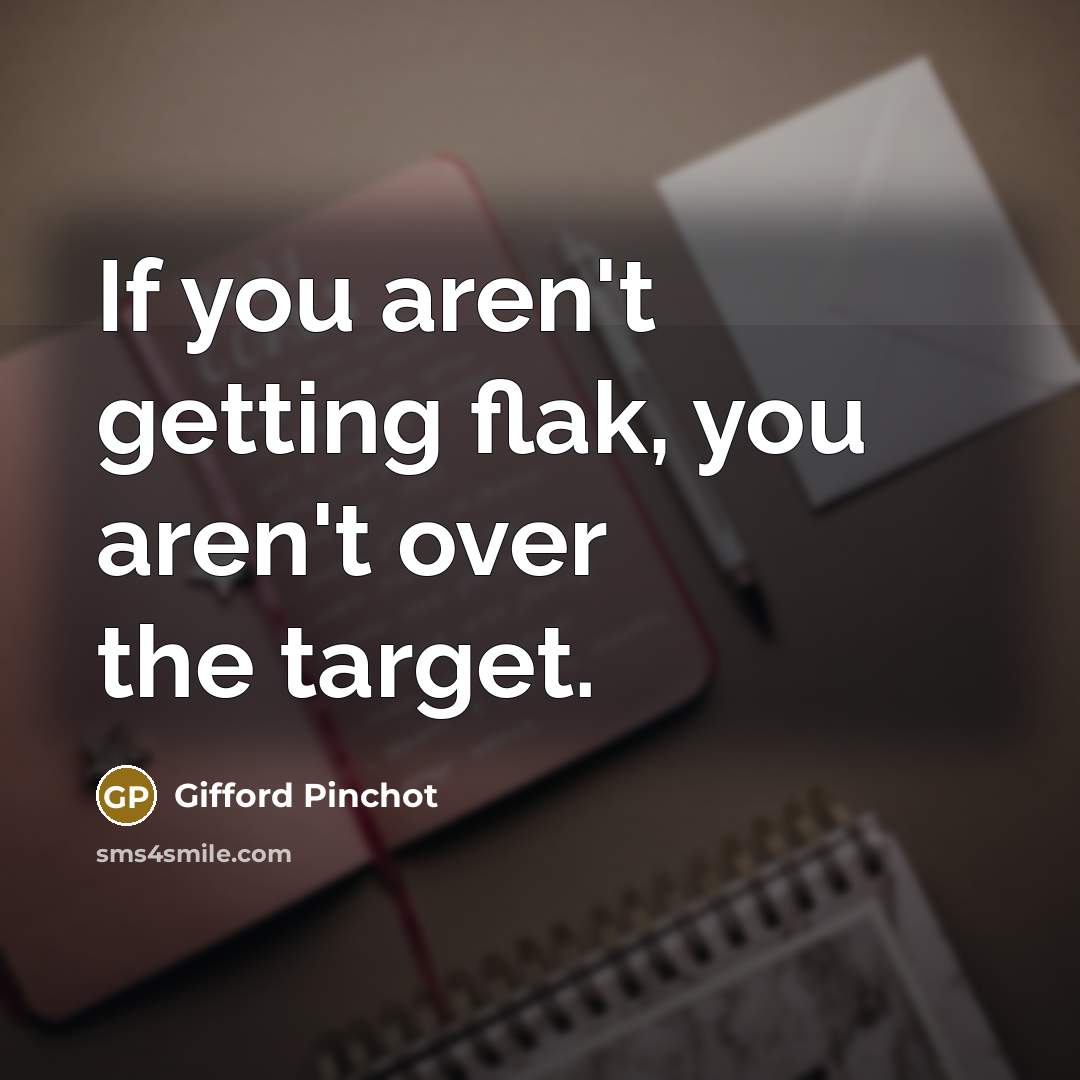 “If you aren't getting flak, you aren't over the target.…” quote by Gifford Pinchot