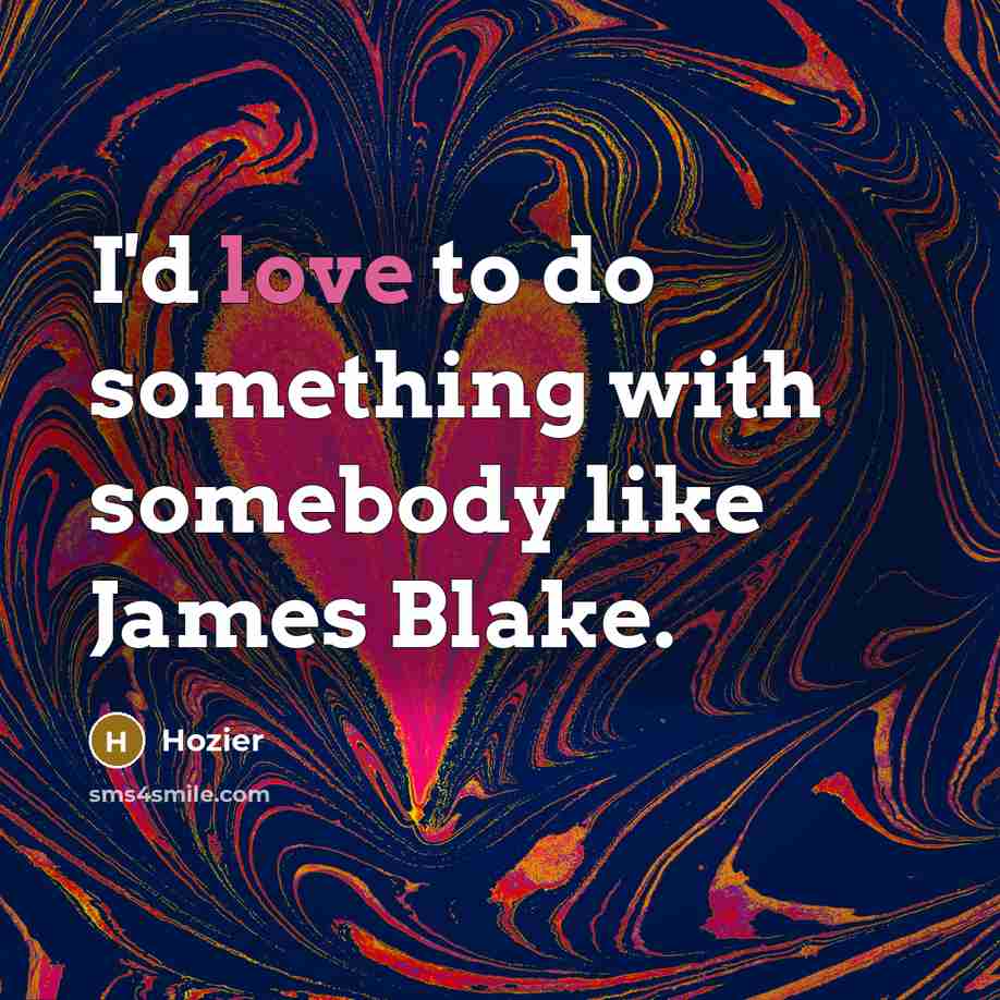 “I'd love to do something with somebody like James Blake.” quote by Hozier