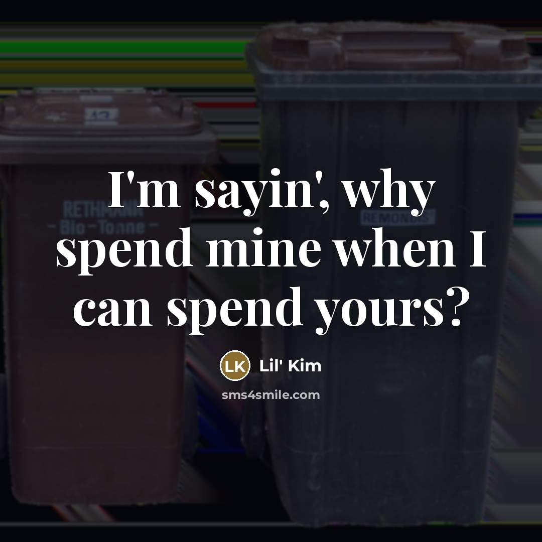 “I'm sayin', why spend mine when I can spend yours?…” quote by Lil' Kim