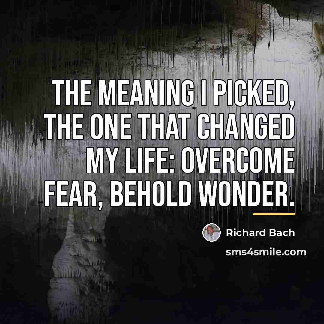 “The meaning I picked, the one that changed my life:…” quote by Richard Bach