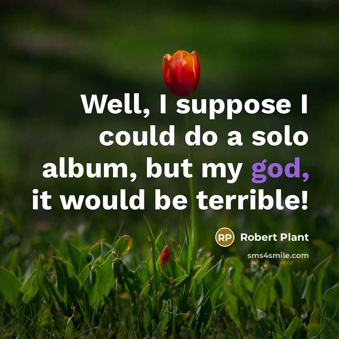 “Well, I suppose I could do a solo album, but…” quote by Robert Plant