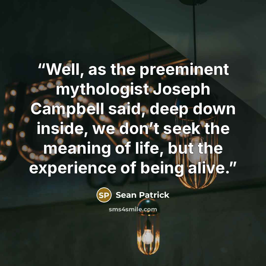 “Well, as the preeminent mythologist Joseph Campbell said, deep down inside, we don’t seek the meaning of life, but the experience of being alive.” quote by Sean Patrick