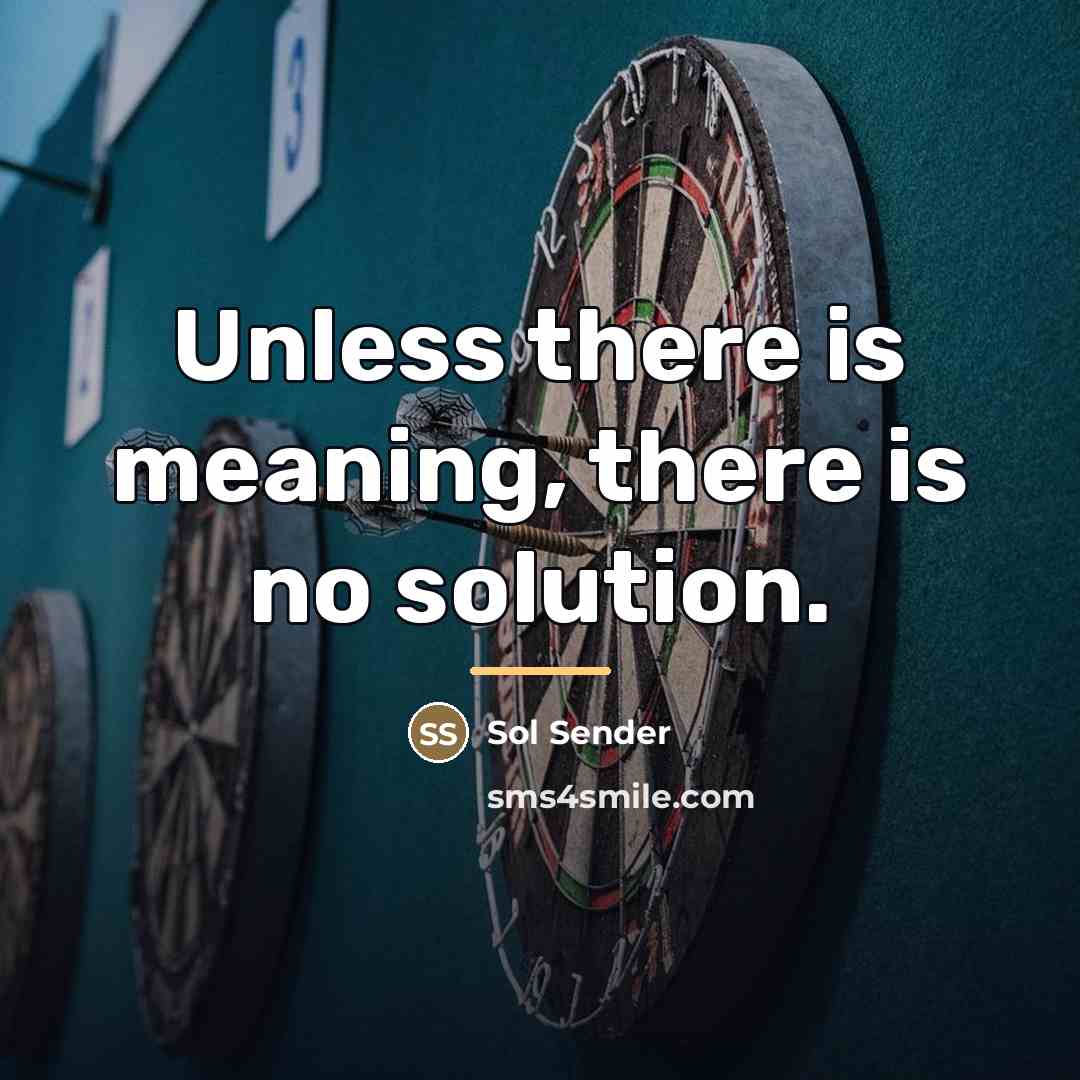 “Unless there is meaning, there is no solution.…” quote by Sol Sender