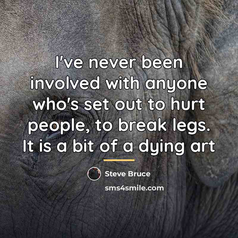 “I've never been involved with anyone who's set out to…” quote by Steve Bruce