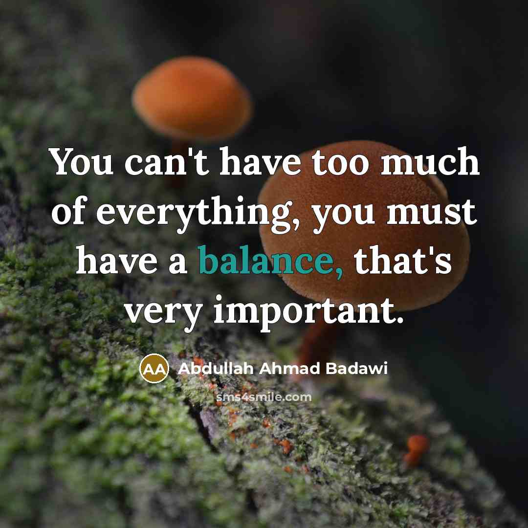“You can't have too much of everything, you must have…” quote by Abdullah Ahmad Badawi