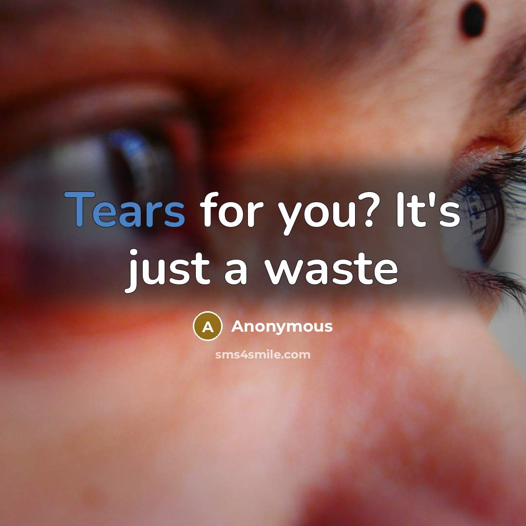 “Tears for you? It's just a waste” quote by Anonymous