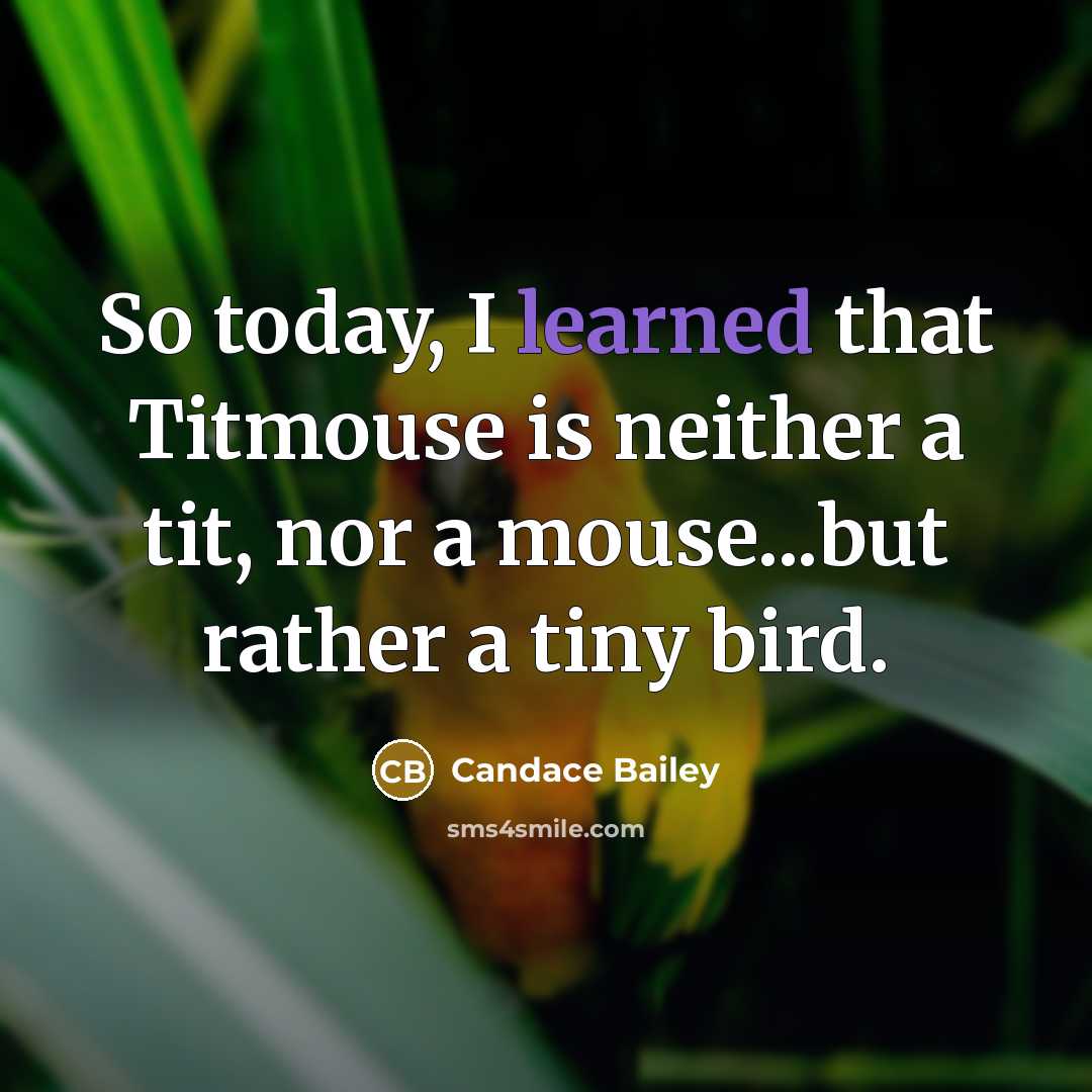 “So today, I learned that Titmouse is neither a tit,…” quote by Candace Bailey