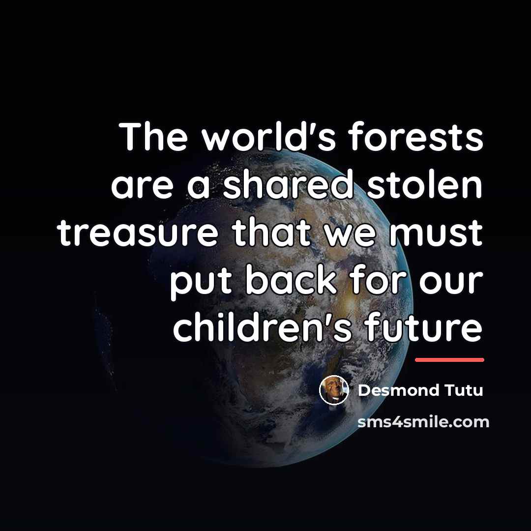 “The world's forests are a shared stolen treasure that we…” quote by Desmond Tutu