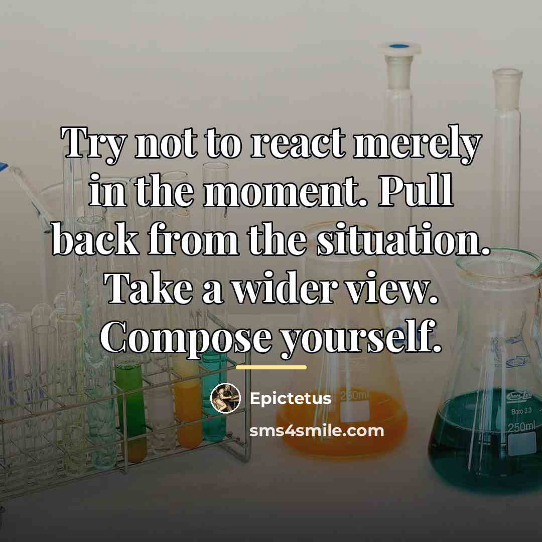 “Try not to react merely in the moment. Pull back…” quote by Epictetus