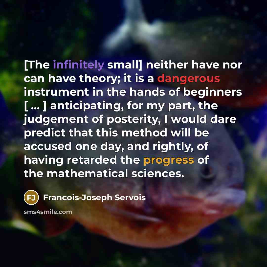 “[The infinitely small] neither have nor can have theory; it is a dangerous instrument in the hands of beginners [ ... ] anticipating, for my part, the judgement of posterity, I would dare predict that this method will be accused one day, and rightly, of having retarded the progress of the…” quote by Francois-Joseph Servois