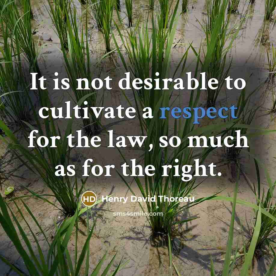 “It is not desirable to cultivate a respect for the…” quote by Henry David Thoreau