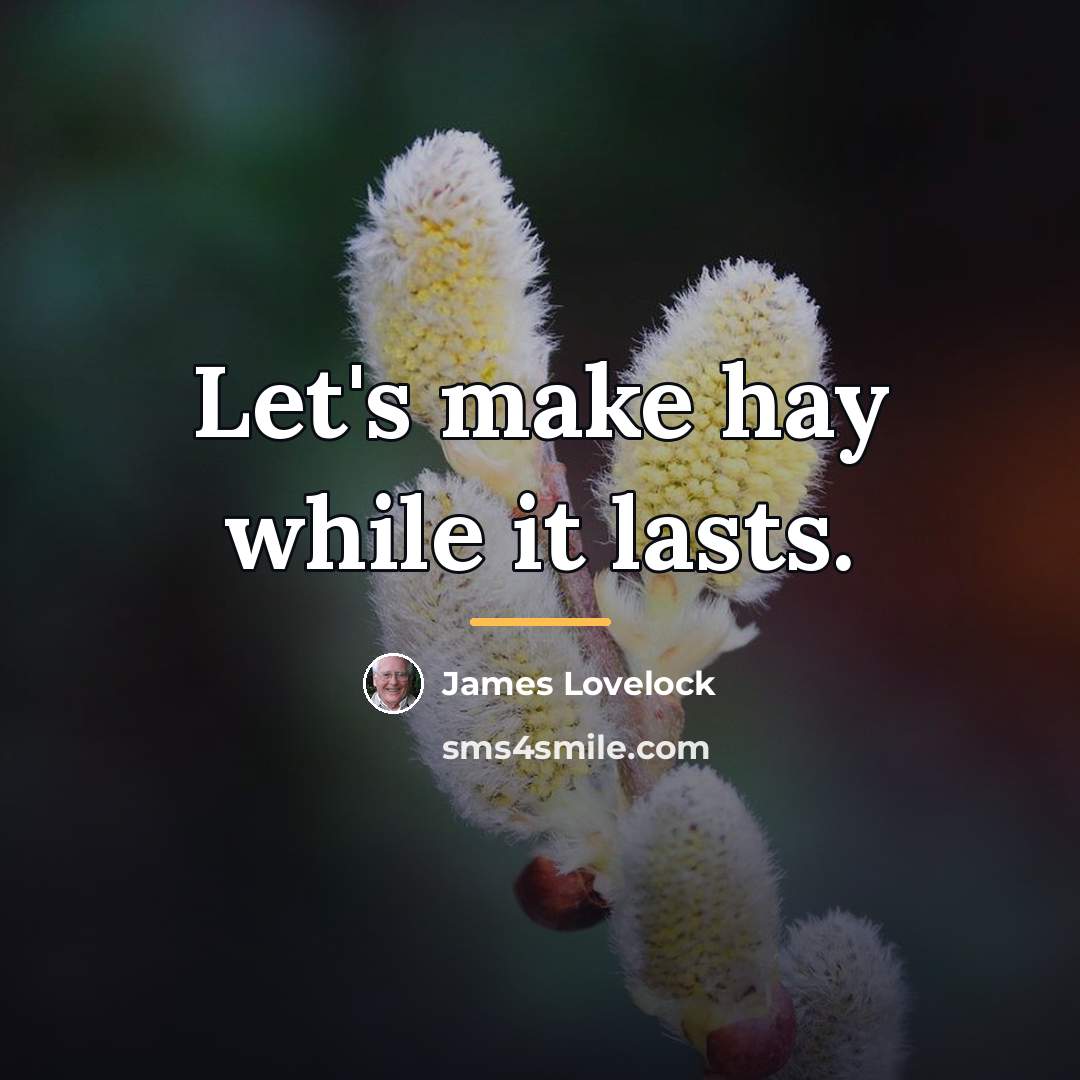 “Let's make hay while it lasts.…” quote by James Lovelock