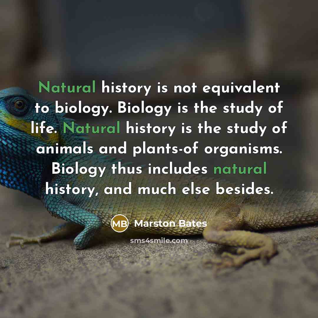 “Natural history is not equivalent to biology. Biology is the…” quote by Marston Bates