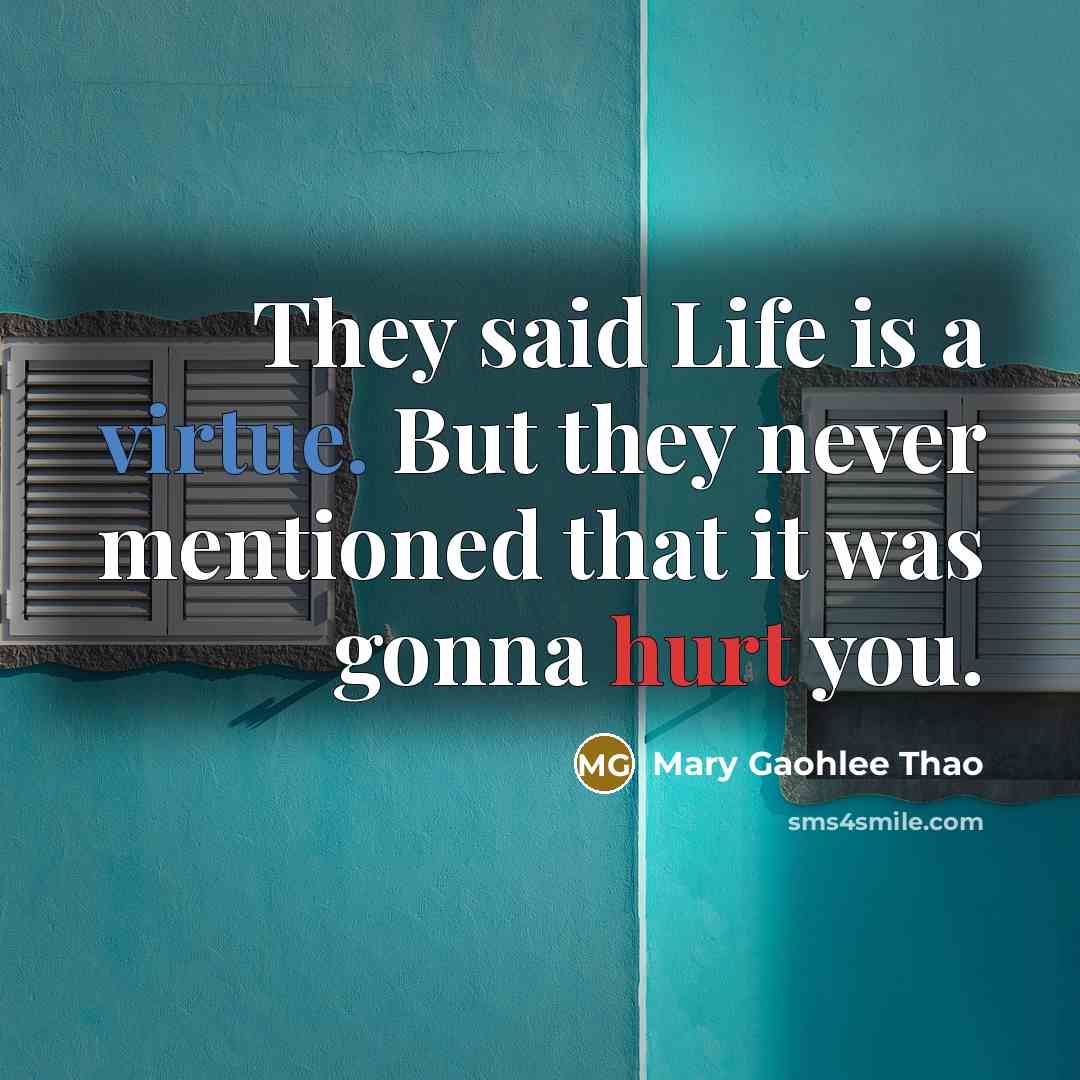 “They said Life is a virtue. But they never mentioned…” quote by Mary Gaohlee Thao
