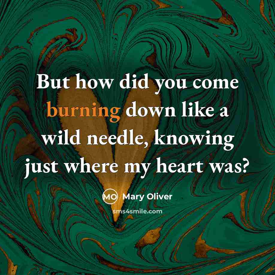 “But how did you come burning down like a wild…” quote by Mary Oliver