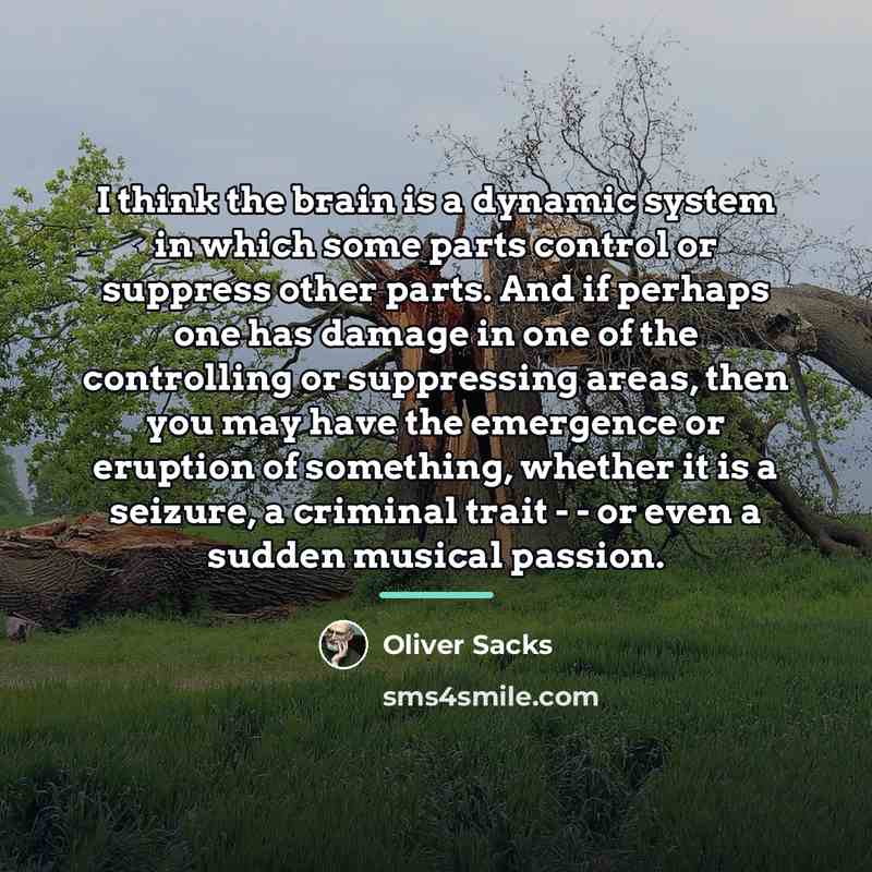 “I think the brain is a dynamic system in which…” quote by Oliver Sacks