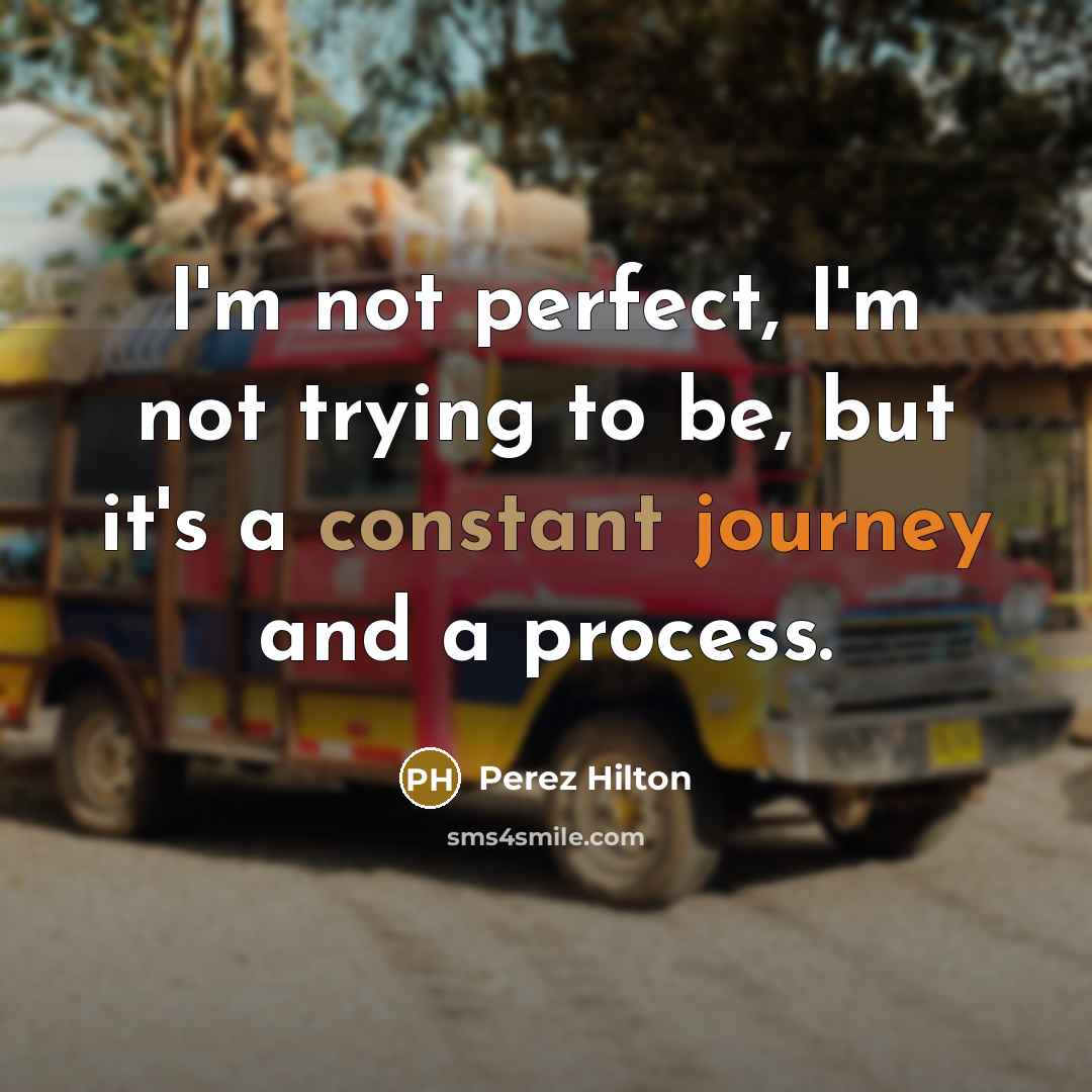 “I'm not perfect, I'm not trying to be, but it's…” quote by Perez Hilton