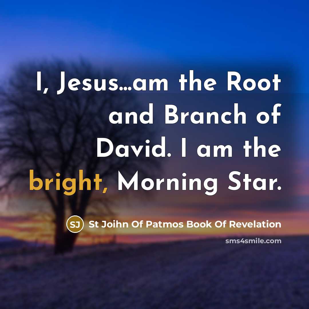 “I, Jesus...am the Root and Branch of David. I am…” quote by St Joihn Of Patmos Book Of Revelation