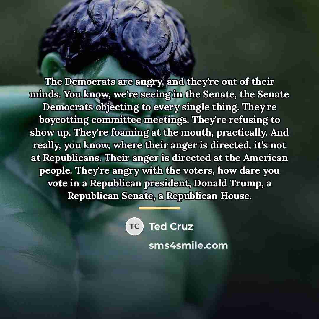 “The Democrats are angry, and they're out of their minds.…” quote by Ted Cruz