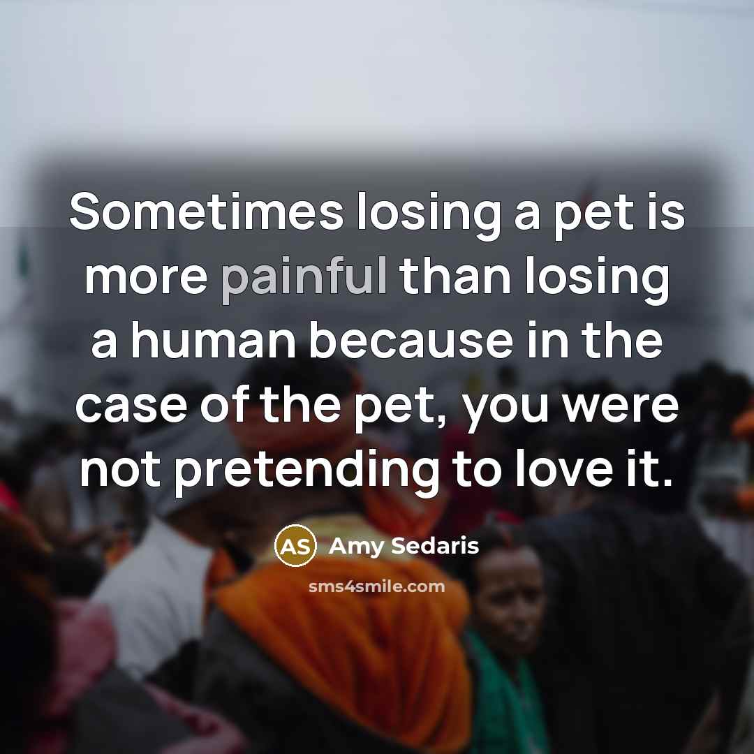 “Sometimes losing a pet is more painful than losing a…” quote by Amy Sedaris