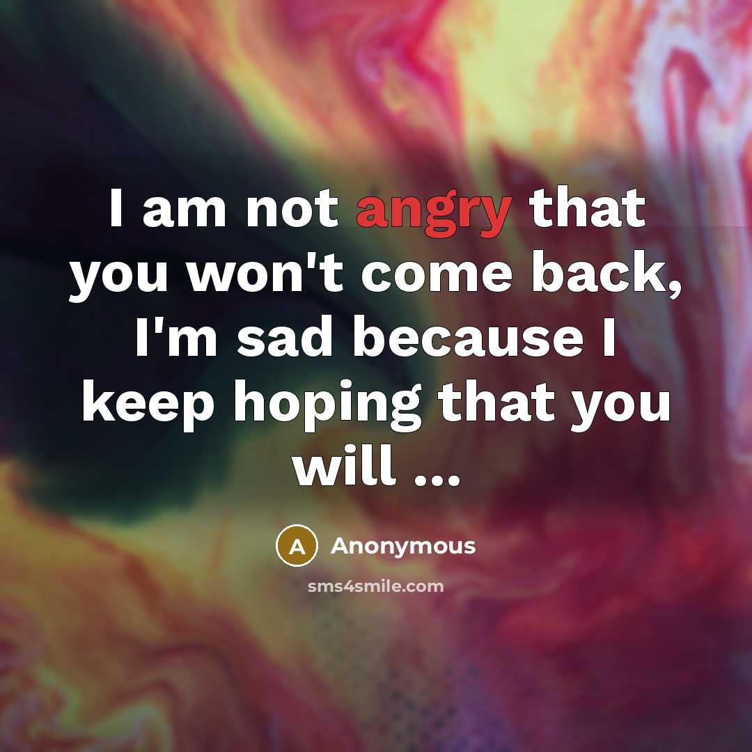 “I am not angry that you won't come back, I'm…” quote by Anonymous