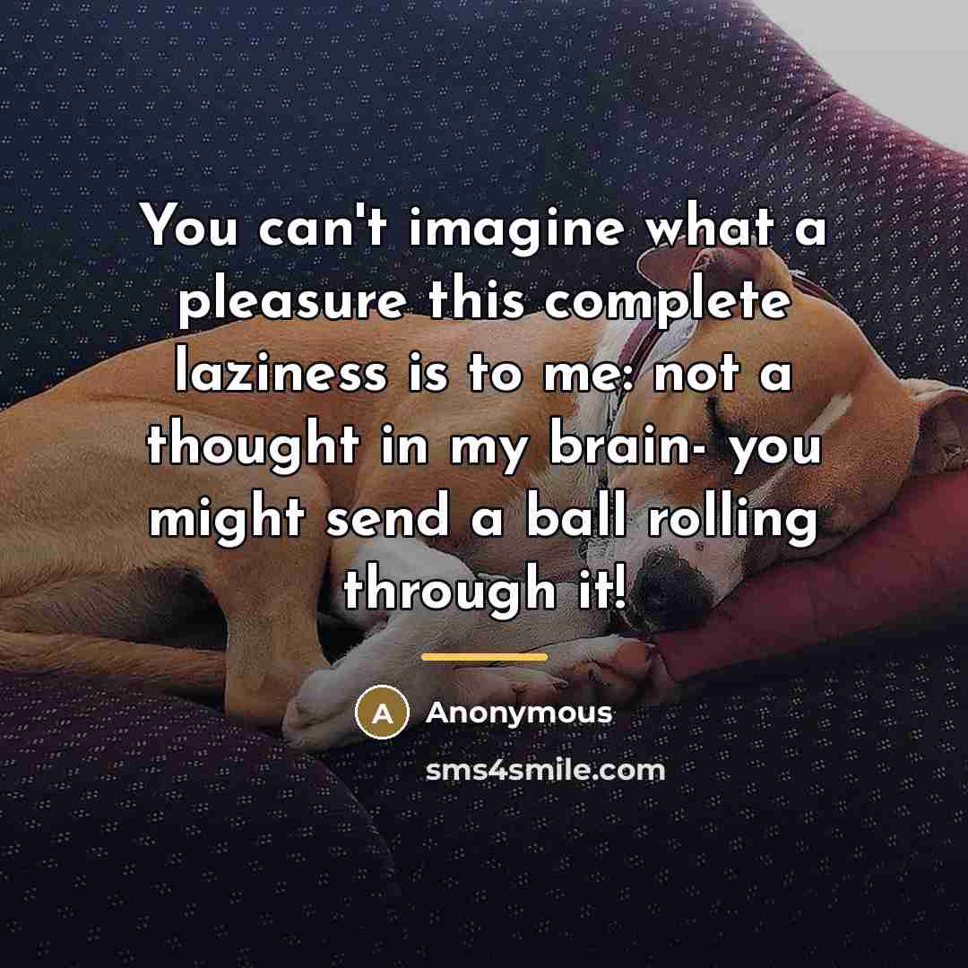 “You can't imagine what a pleasure this complete laziness is…” quote by Anonymous
