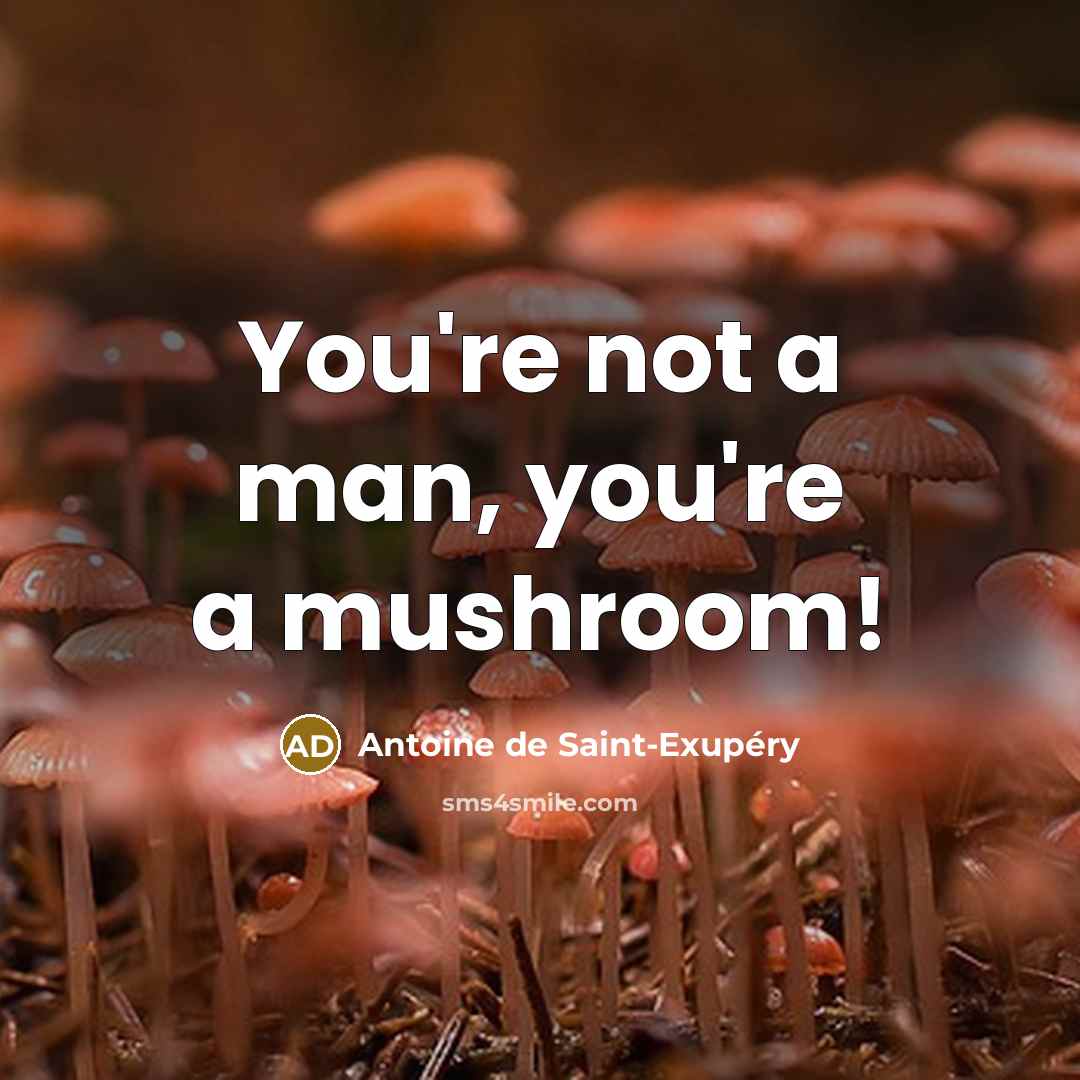 “You're not a man, you're a mushroom!…” quote by Antoine de Saint-Exupery