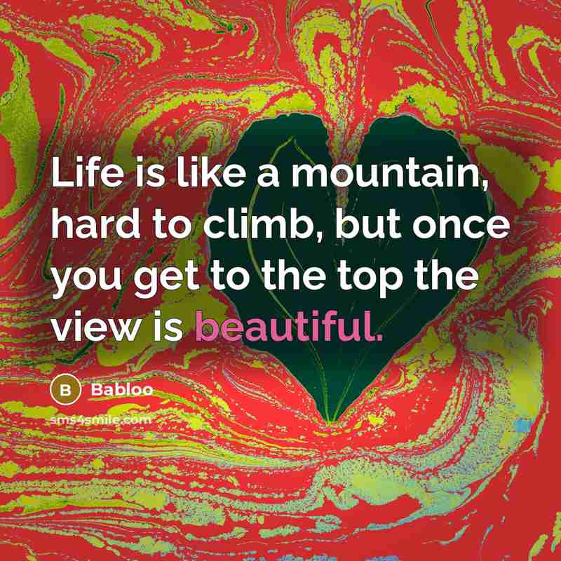 “Life is like a mountain, hard to climb, but once you get to the top the view is beautiful.” quote by Babloo