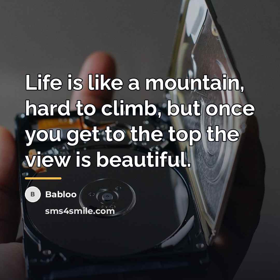 “Life is like a mountain, hard to climb, but once…” quote by Babloo