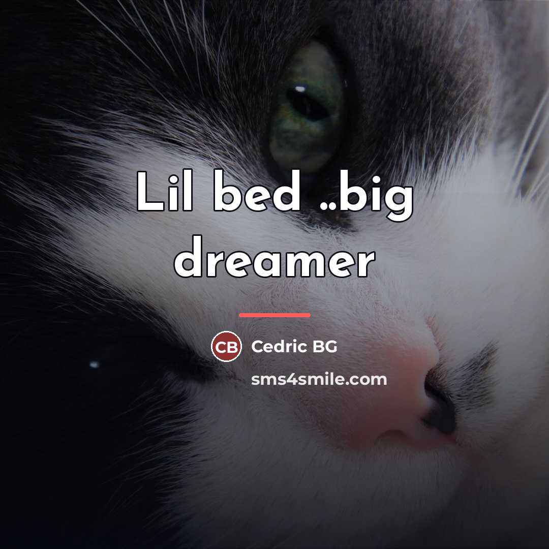 “Lil bed ..big dreamer…” quote by Cedric BG