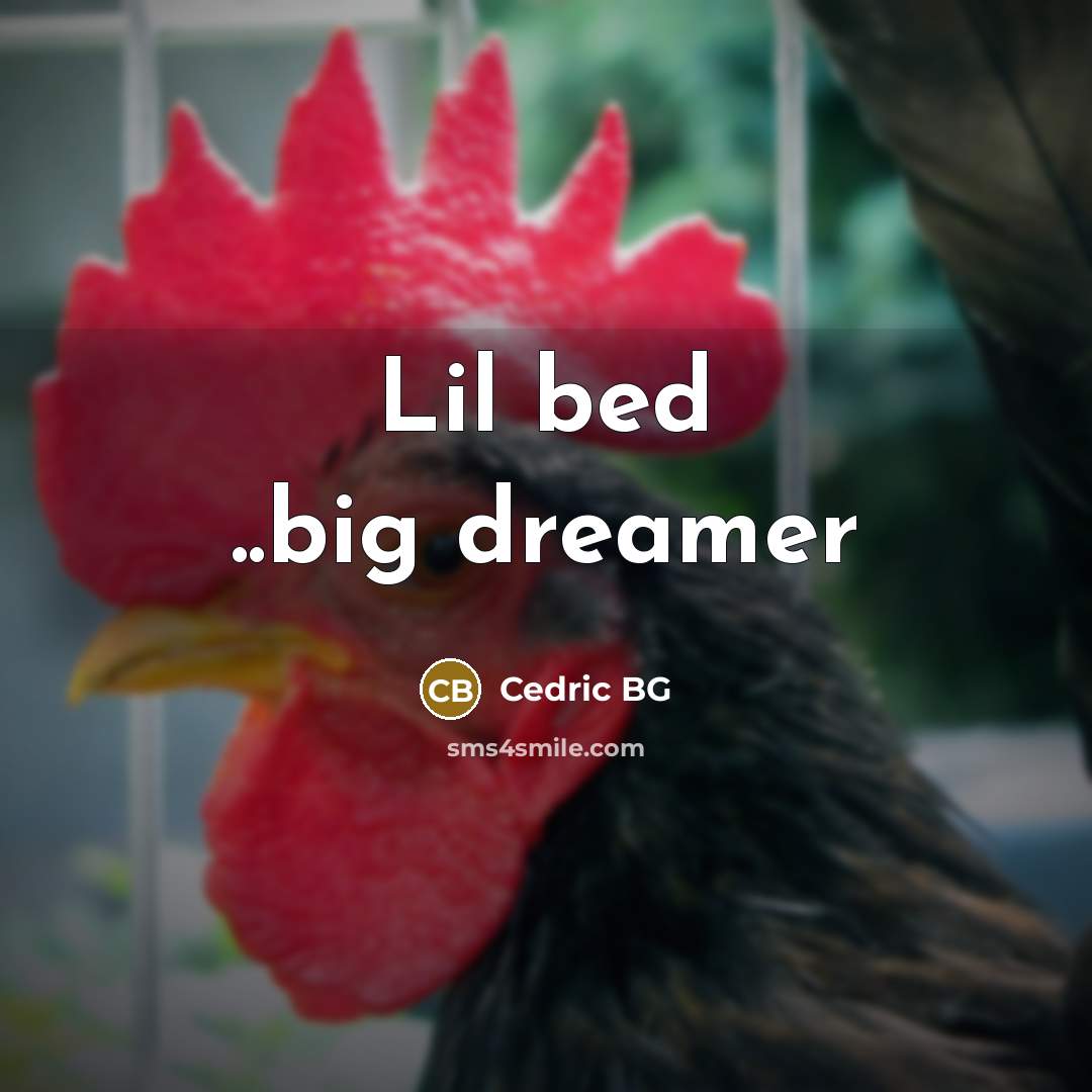 “Lil bed ..big dreamer” quote by Cedric BG