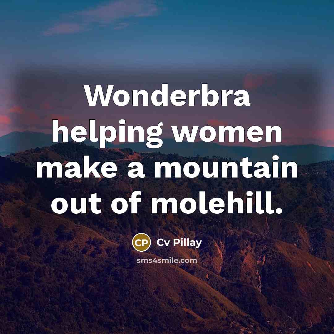 “Wonderbra helping women make a mountain out of molehill.…” quote by Cv Pillay
