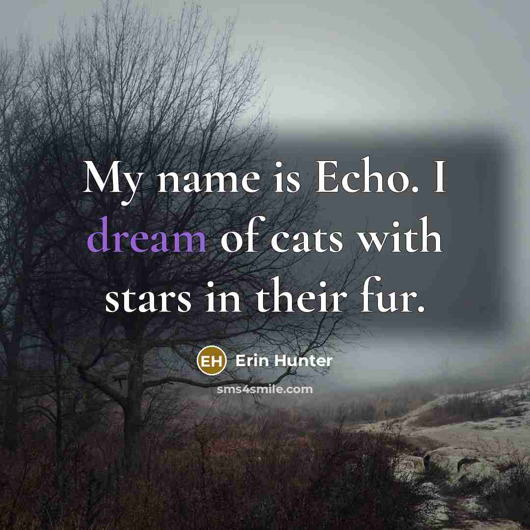 “My name is Echo. I dream of cats with stars…” quote by Erin Hunter