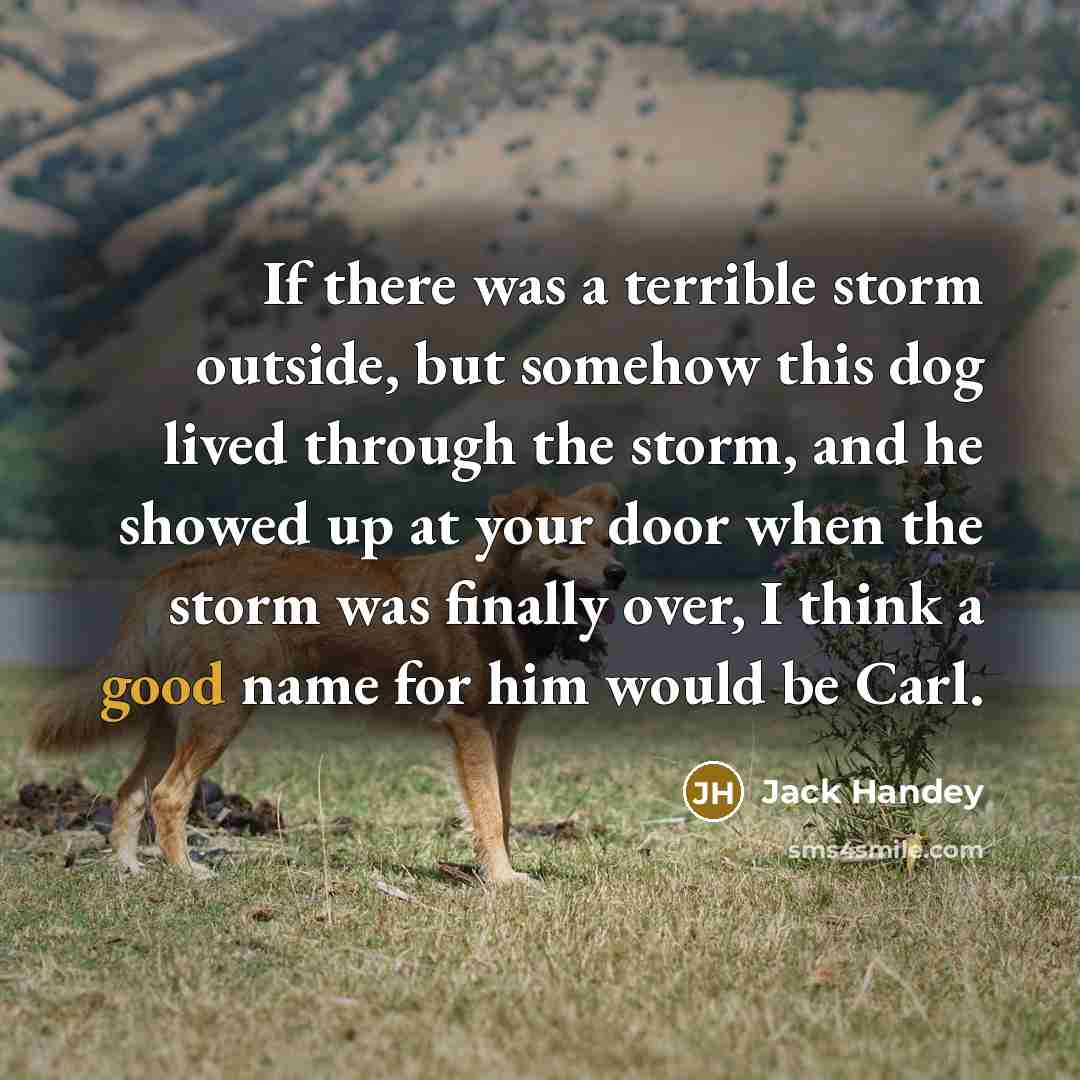 “If there was a terrible storm outside, but somehow this…” quote by Jack Handey