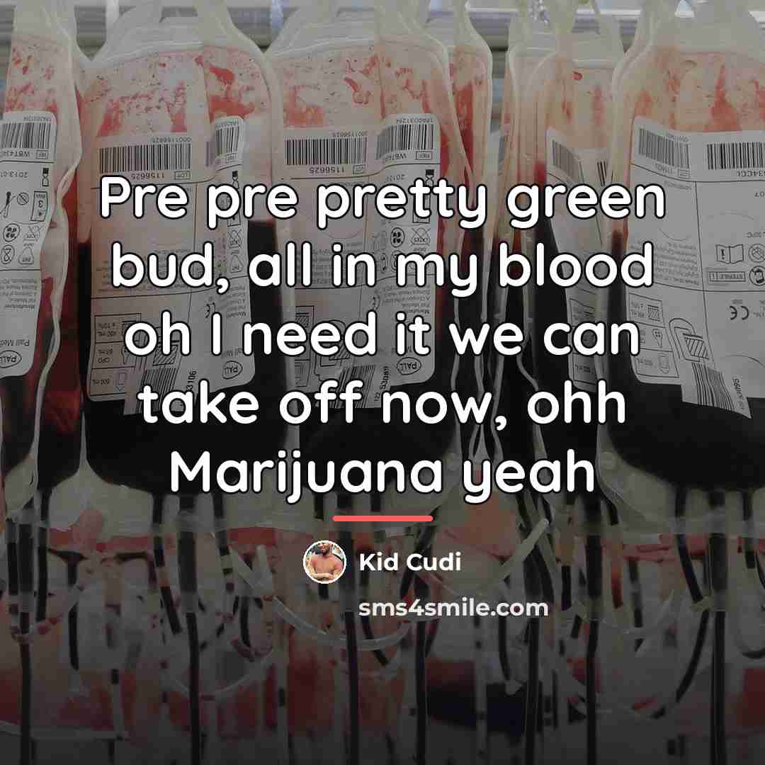 “Pre pre pretty green bud, all in my blood oh…” quote by Kid Cudi