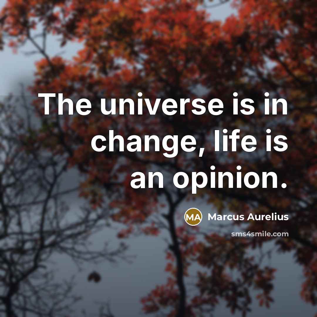“The universe is in change, life is an opinion.…” quote by Marcus Aurelius