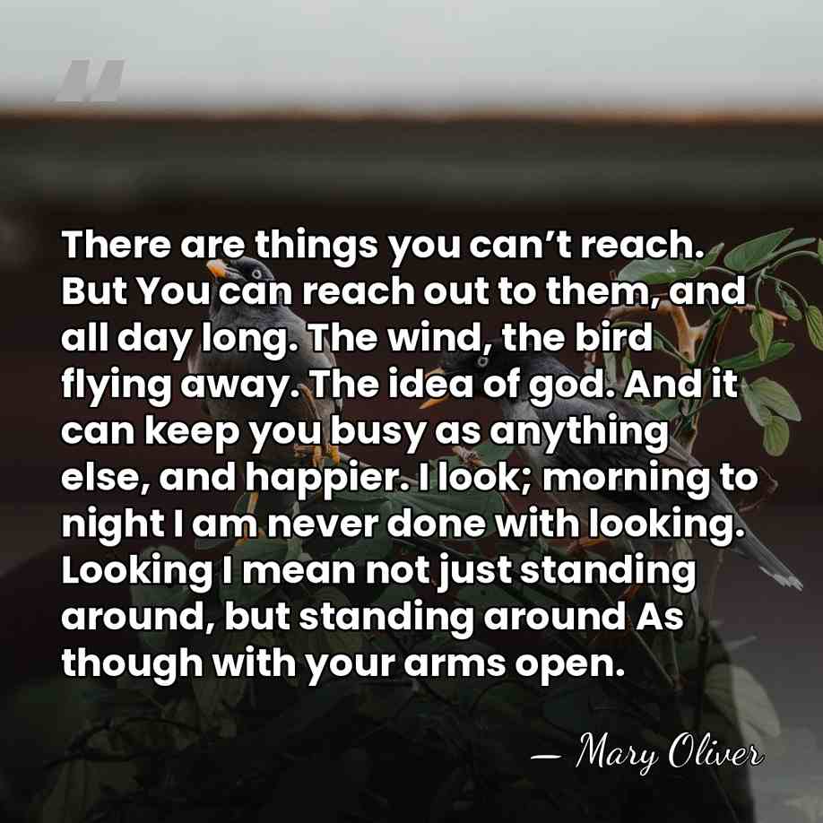 There are things you can’t reach. But You can reach out to&hellip; - Mary Oliver