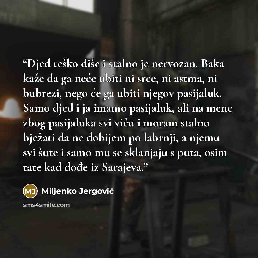 “Djed teško diše i stalno je nervozan. Baka kaže da ga neće ubiti ni srce, ni astma, ni bubrezi, nego će ga ubiti njegov pasijaluk. Samo djed i ja imamo pasijaluk, ali na mene zbog pasijaluka svi viču i moram stalno bježati da ne dobijem po labrnji, a njemu svi šute i samo mu se sklanjaju s puta…” quote by Miljenko Jergović