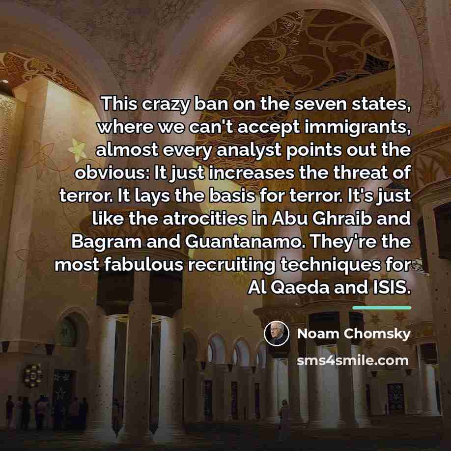 “This crazy ban on the seven states, where we can't…” quote by Noam Chomsky
