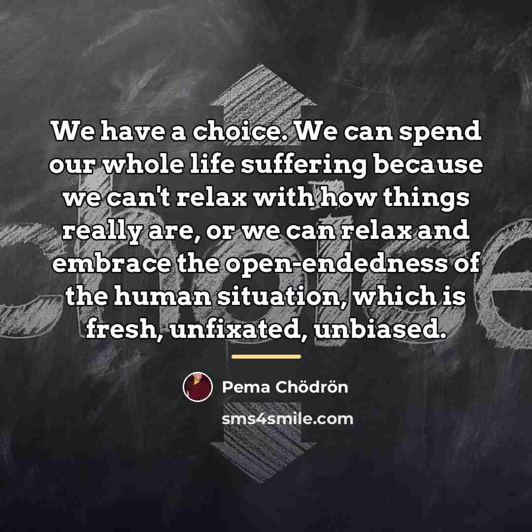 “We have a choice. We can spend our whole life…” quote by Pema Chodron